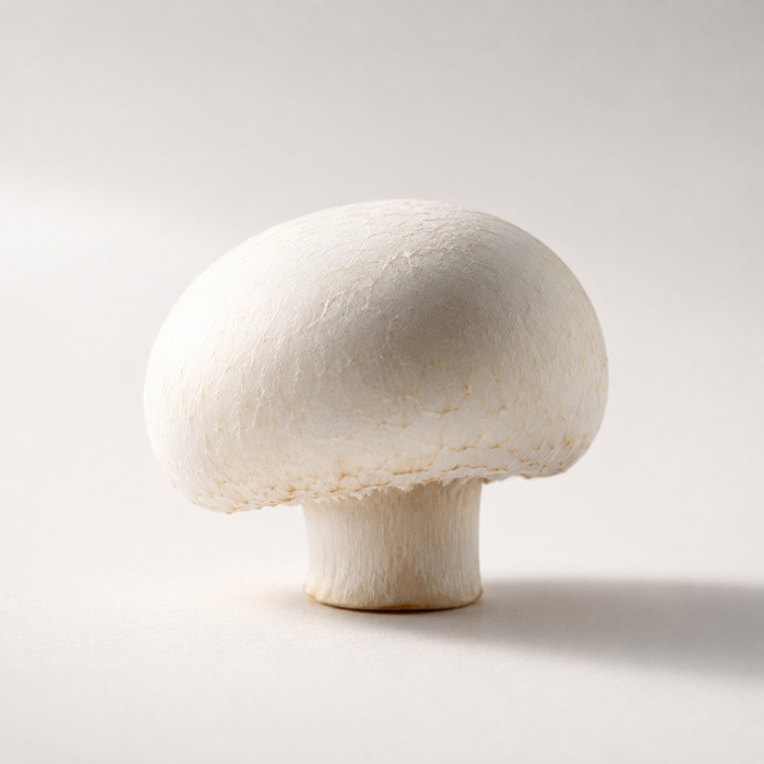Common mushrooms